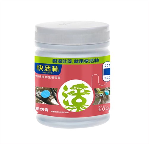 愈傷膏