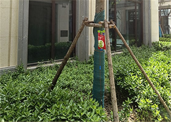 吊針液使用 (2)
