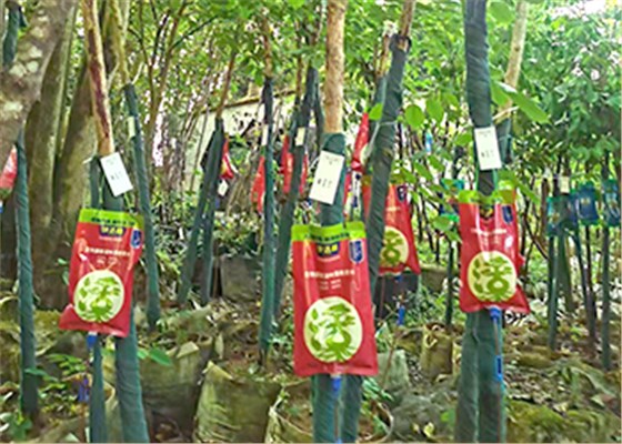 吊針液使用 (3)