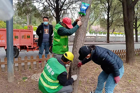 【案例分享】2022年3月快活林河北邯鄲公園養(yǎng)護指導(dǎo)