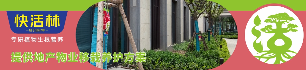 快活林地產(chǎn)物業(yè)移栽養(yǎng)護方案