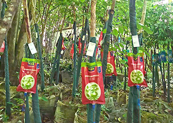 吊針液使用 (3)