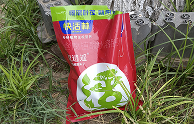 根逍遙生根粉2