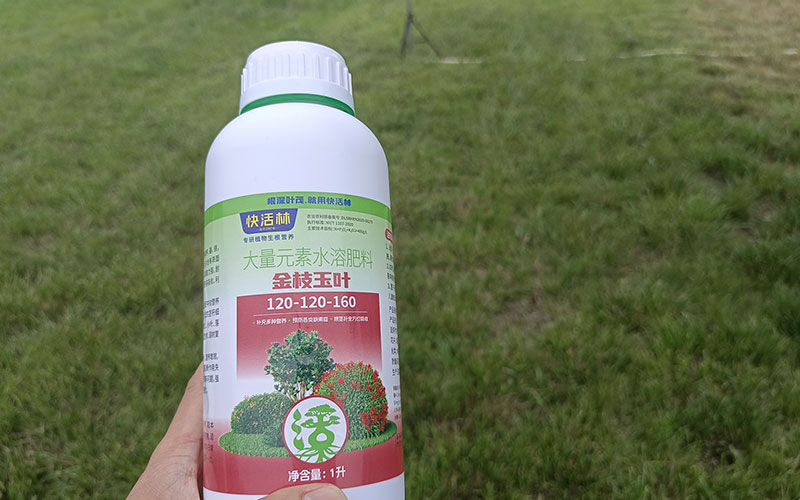 金枝玉葉案例見(jiàn)證