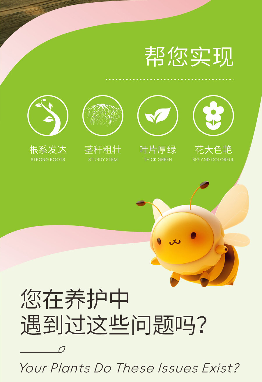 詳情 (2)