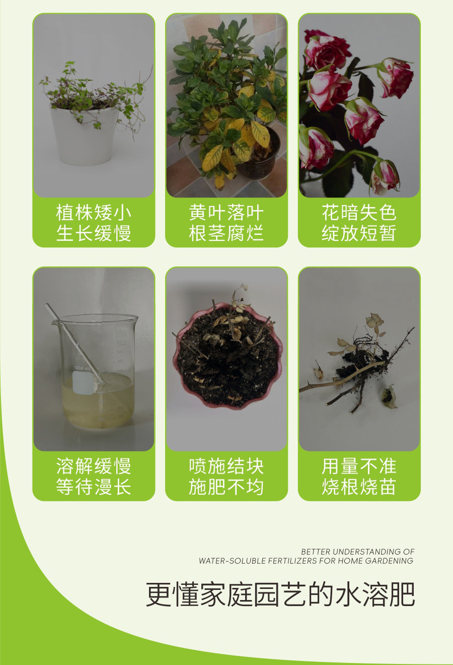 詳情 (3)