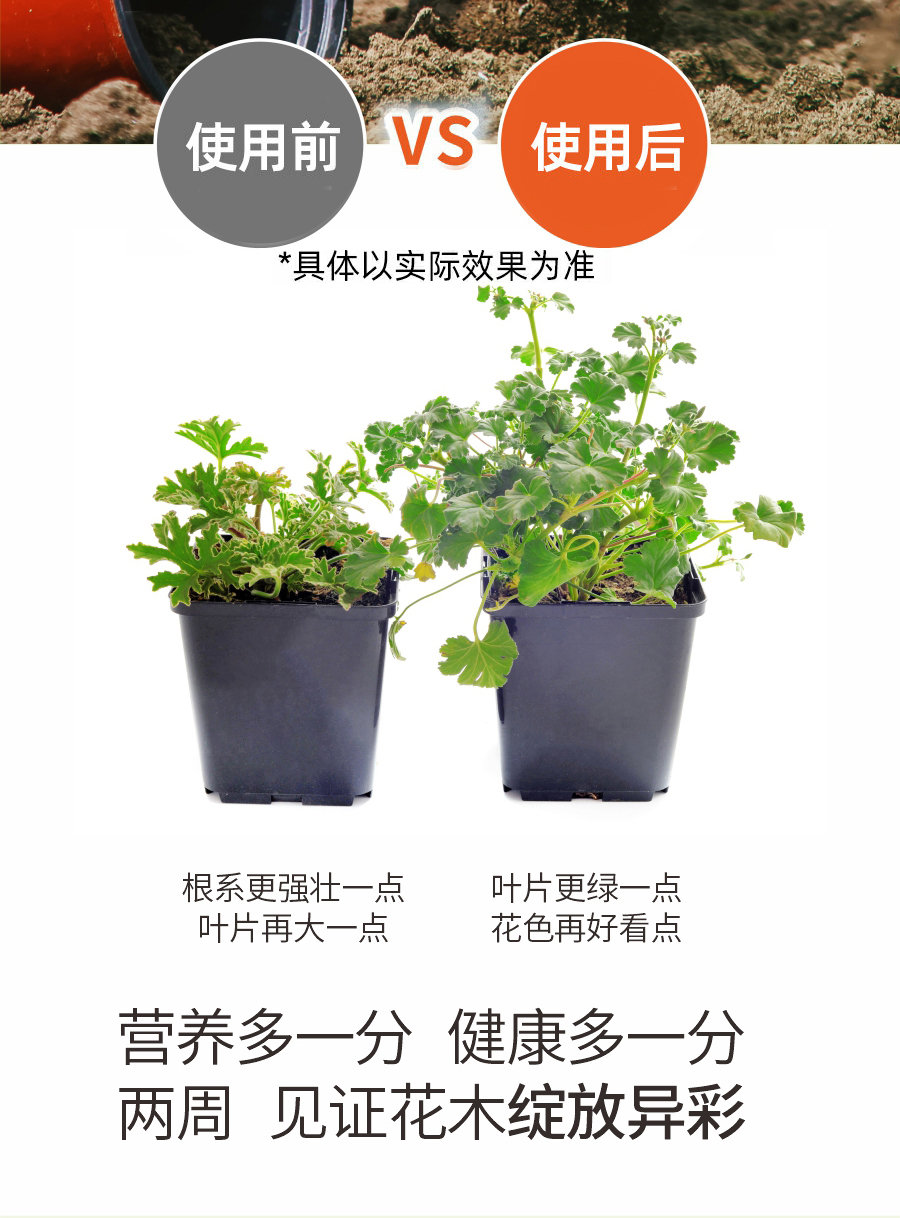 詳情 (5)