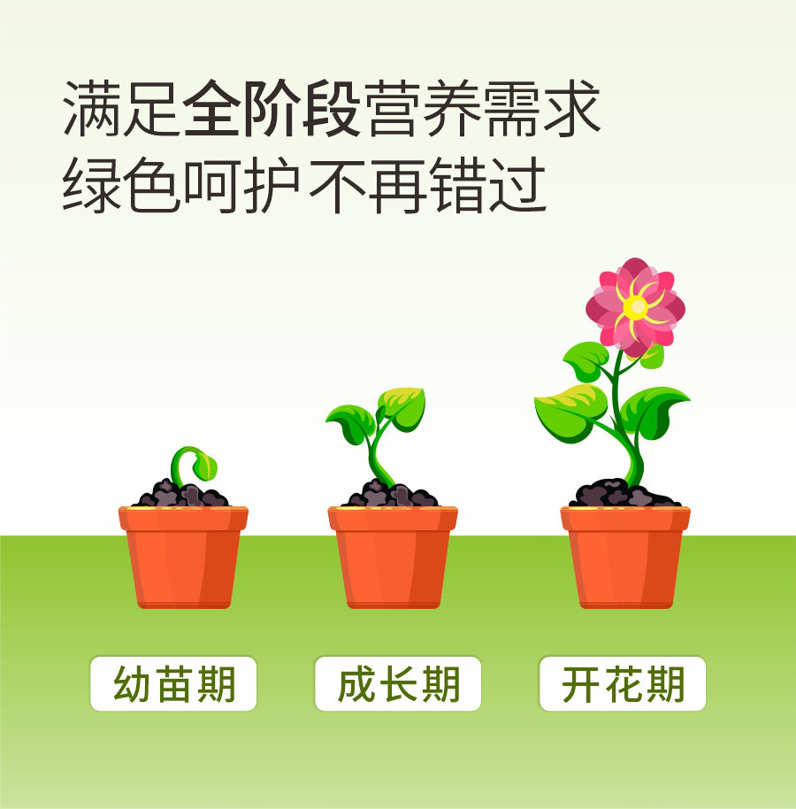 詳情 (6)