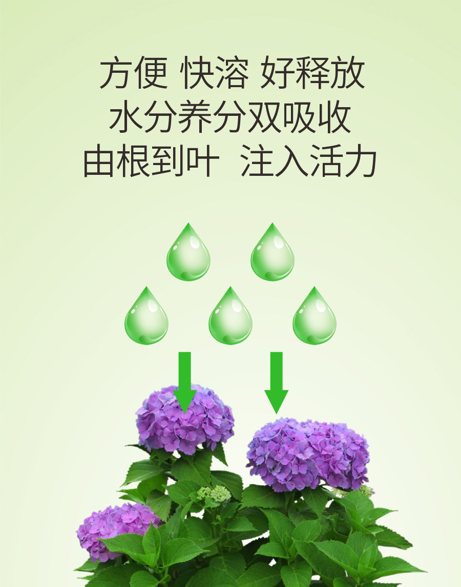 詳情 (7)