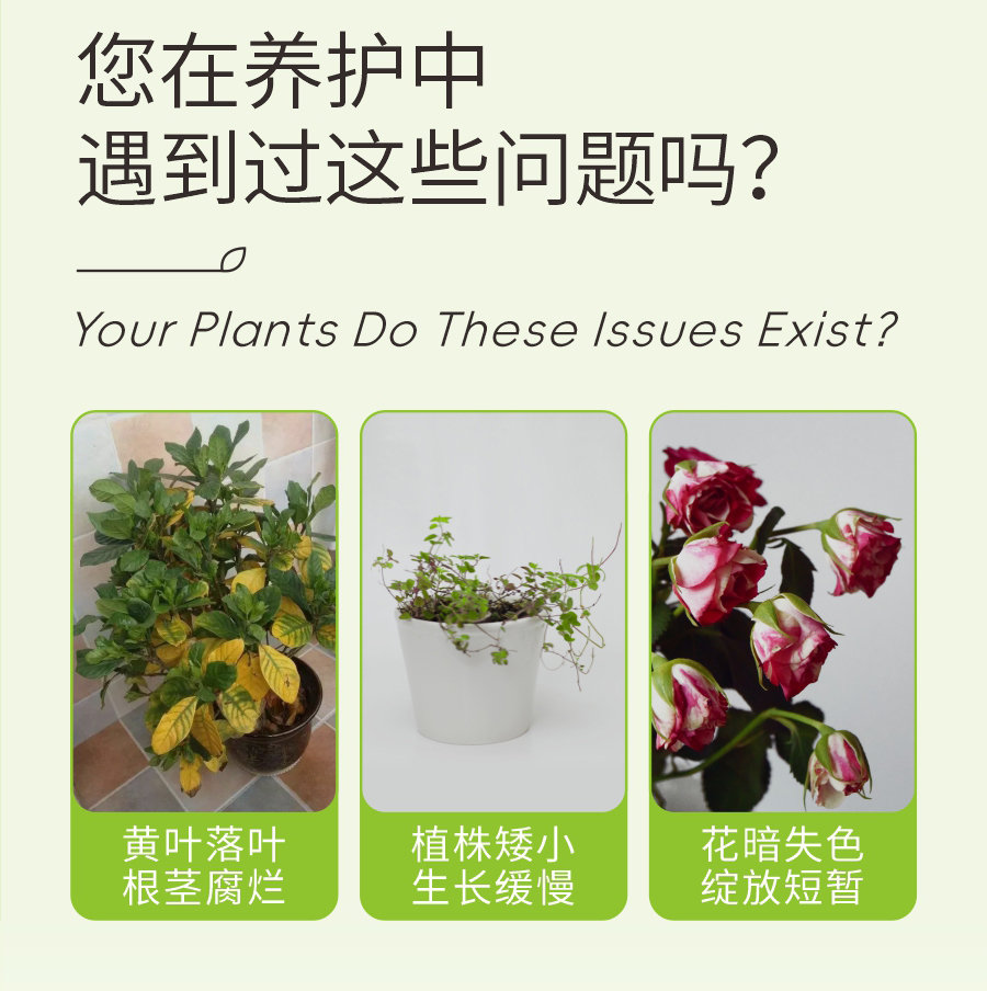 濃縮 (3)