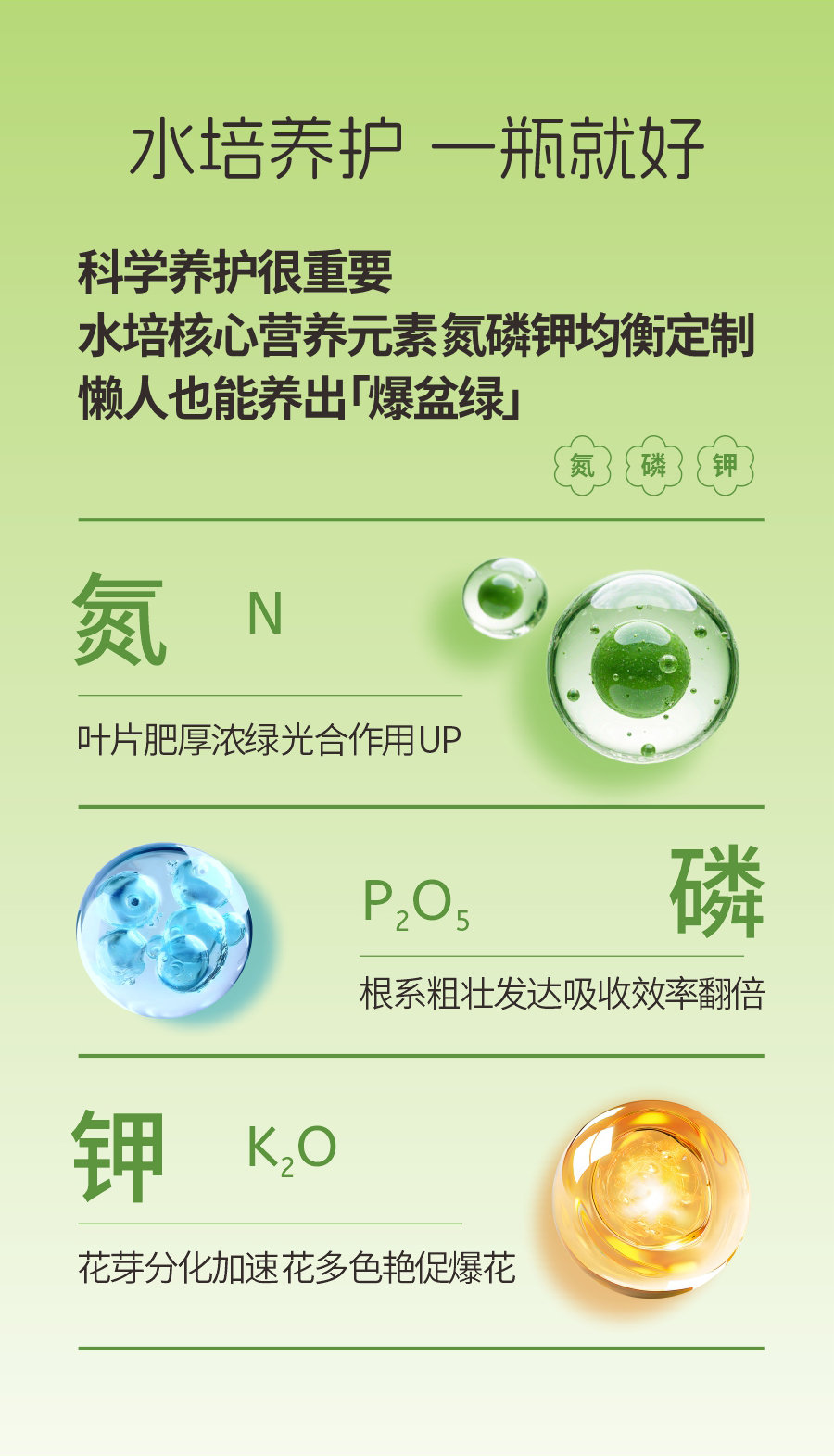 詳情1 (4)