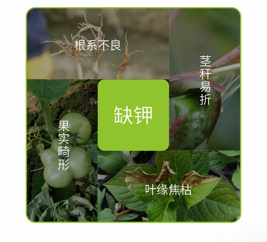 詳情 (3)