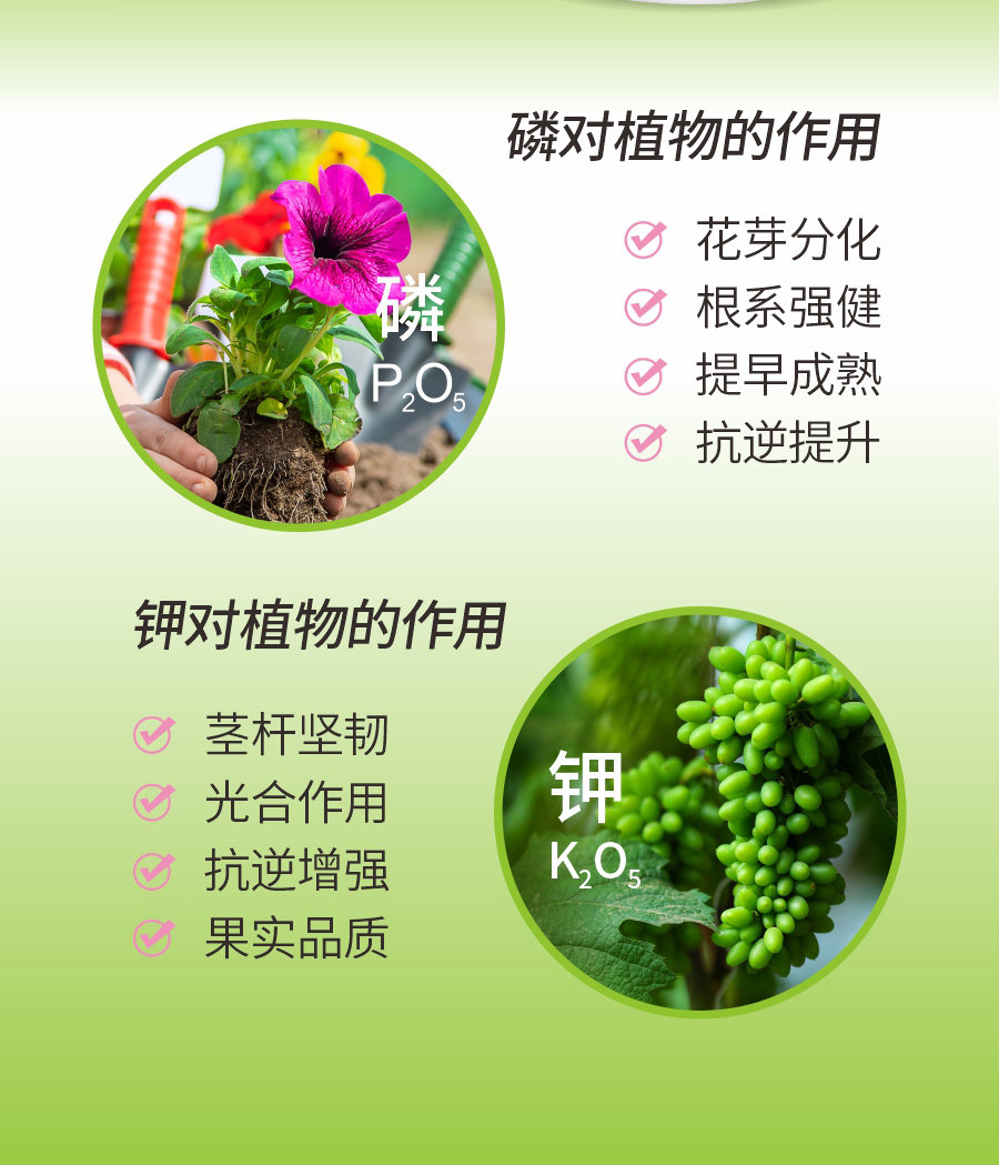詳情 (6)
